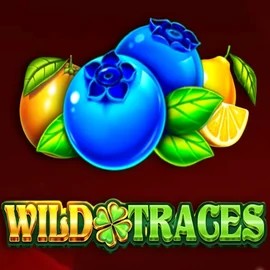 Try Wild Traces slot by Amusnet Interactive on bigluckycasinos-fi.com – logo image